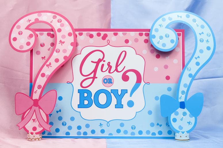 Gender Reveals meme template - Gender Reveal