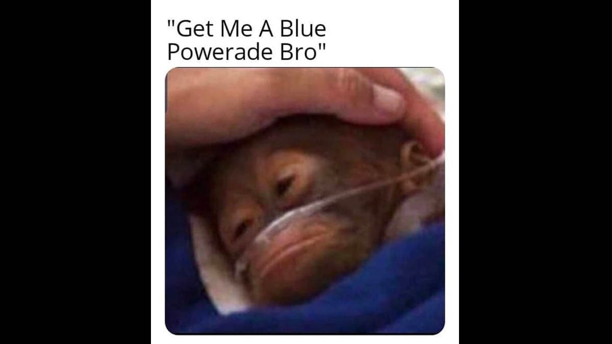 Get Me A Blue Powerade Bro meme template - Get Me A Blue Powerade Bro