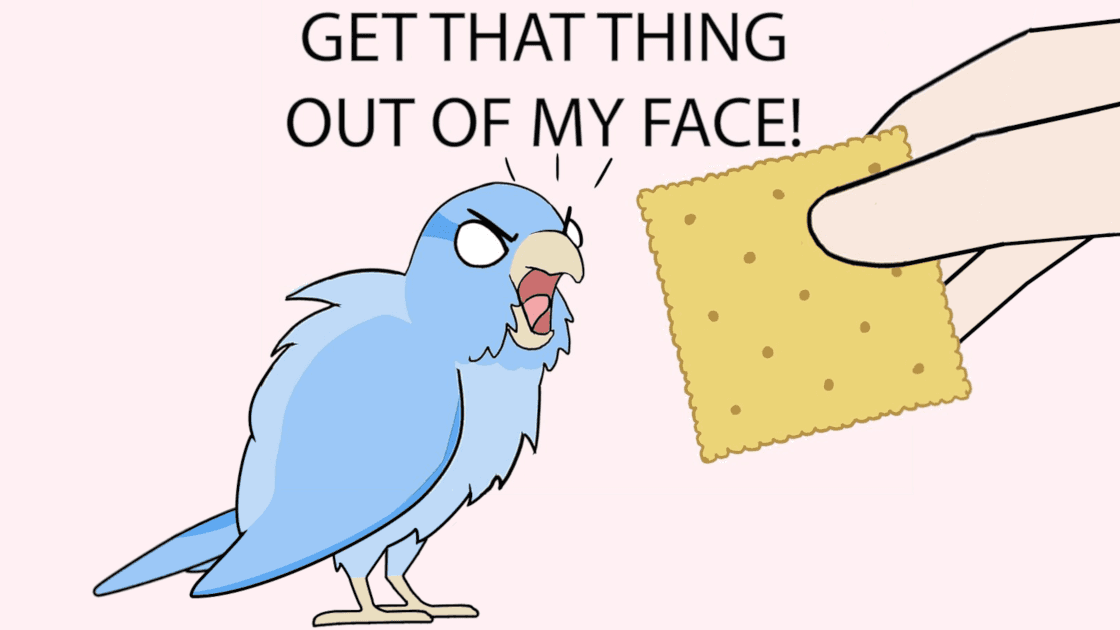 Get That Thing Out Of My Face! meme template - Get That Thing Out Of My Face
