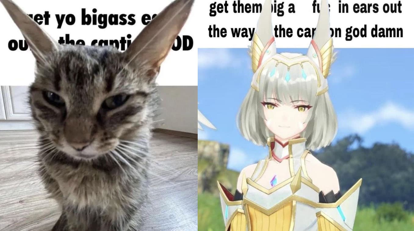 Get Them Bigass Ears Out Of The Caption meme template - Get Them Bigass Ears Out Of The Caption