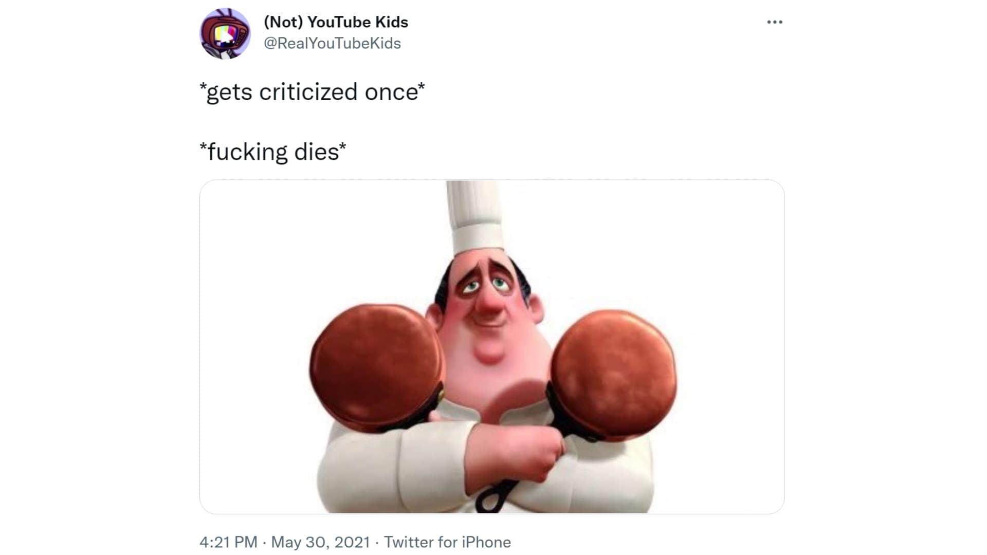 >Gets Criticized Once >Fucking Dies meme template - Gets Criticized Once Fucking Dies