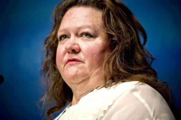 Gina Rinehart Poverty Gaffes meme template - Gina Rinehart