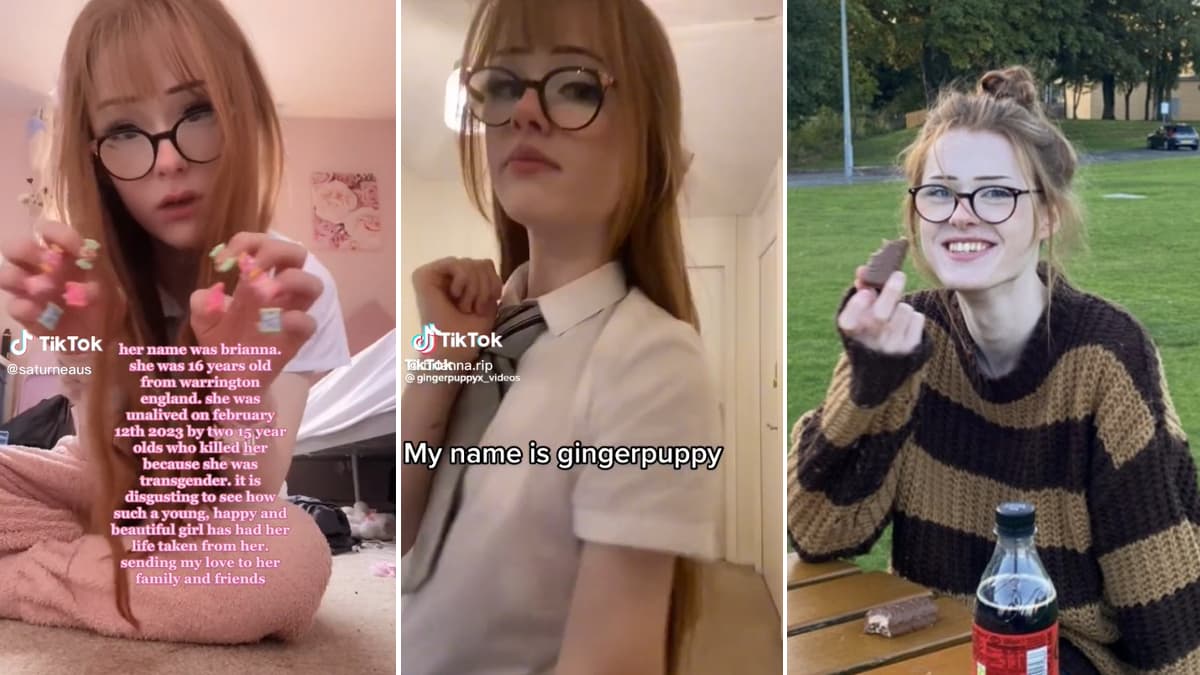 Ginger Puppy / Brianna Ghey Murder meme template - Ginger Puppy