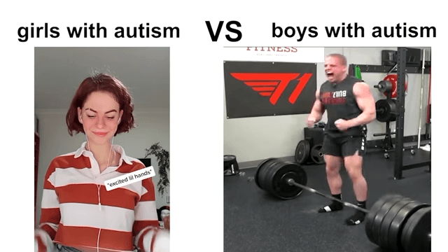 Girls With Autism vs. Boys With Autism meme template - Girls With Autism vs Boys With Autism