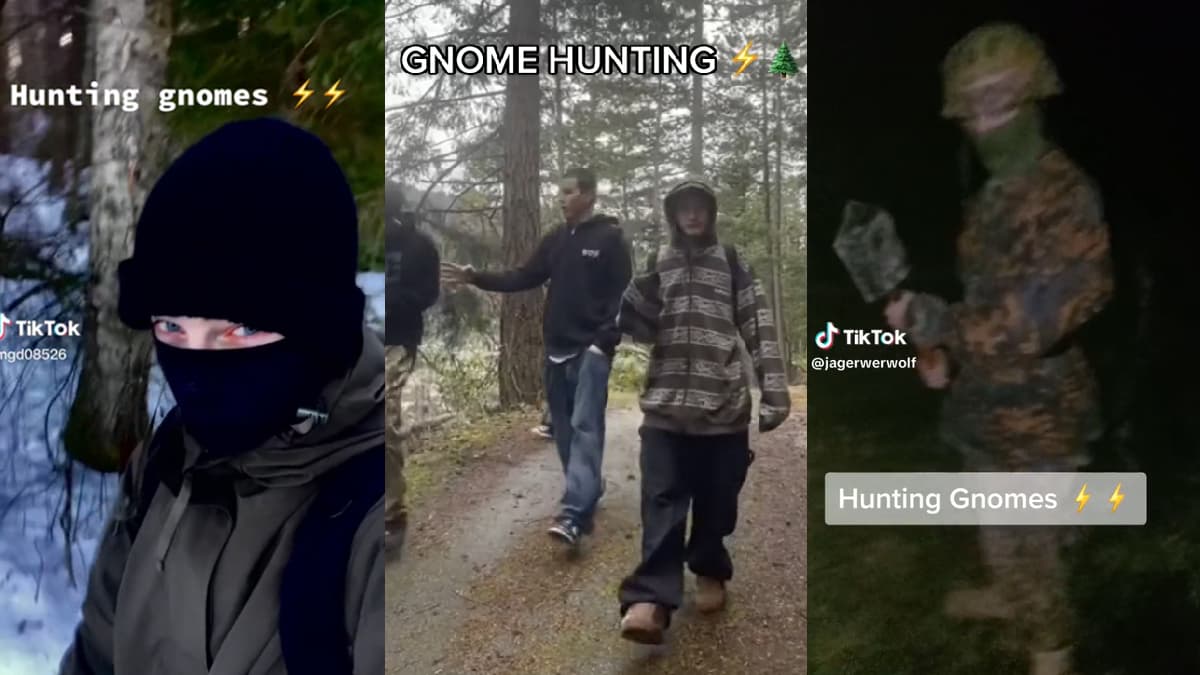 Gnome Hunting / Millions Wear the Hats meme template - Gnome Hunting