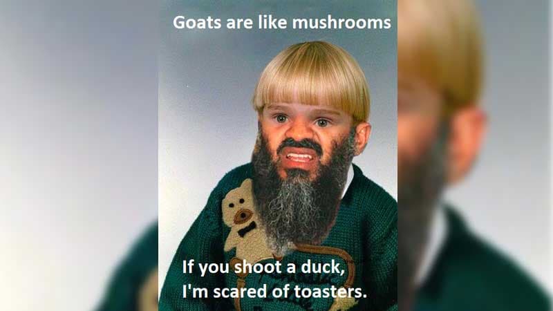 Goats Are Like Mushrooms meme template - Goats Are Like Mushrooms