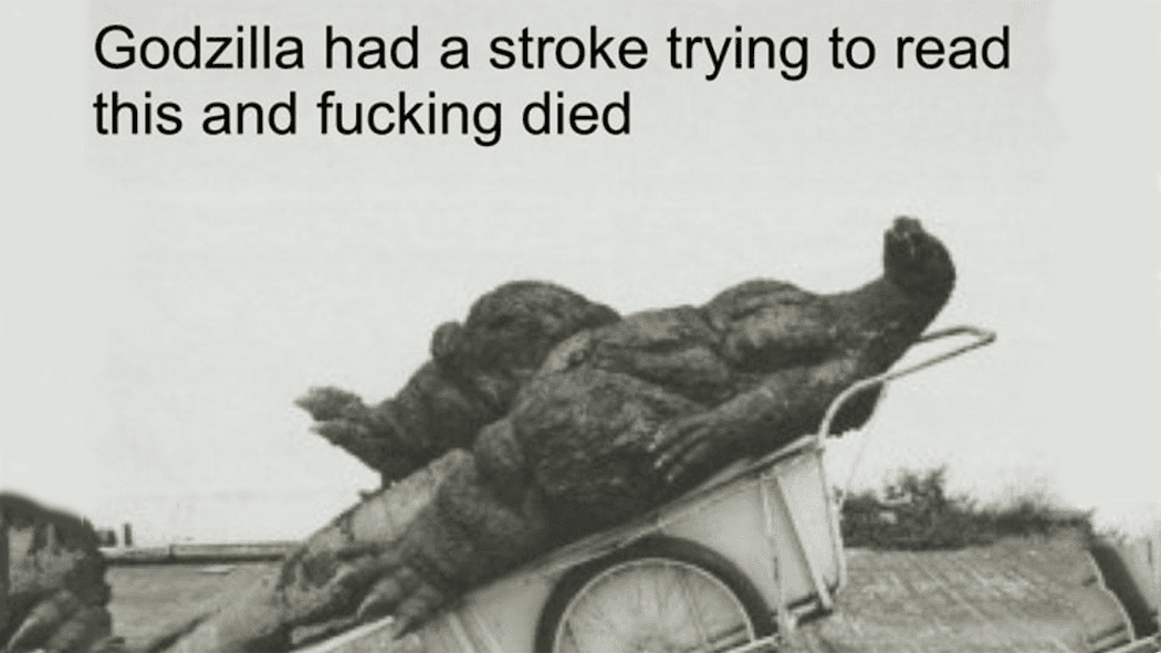 Godzilla Had a Stroke Trying to Read This and Fucking Died meme template - Godzilla Had a Stroke