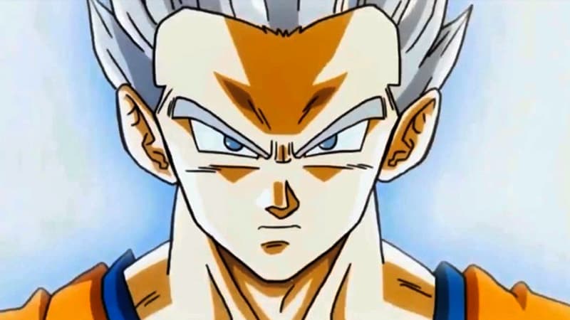 Gohan Blanco meme template - Gohan Blanco