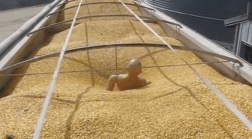 Grain Entrapment meme template - Grain Entrapment Template
