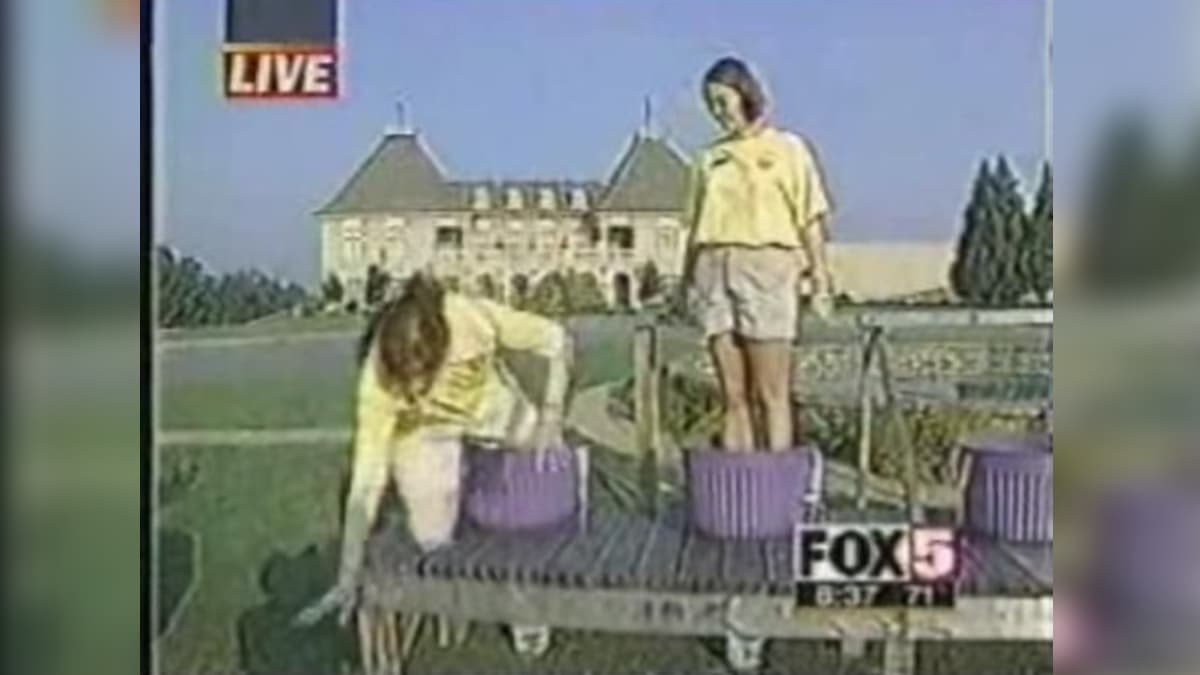 Grape Lady meme template - Grape Lady