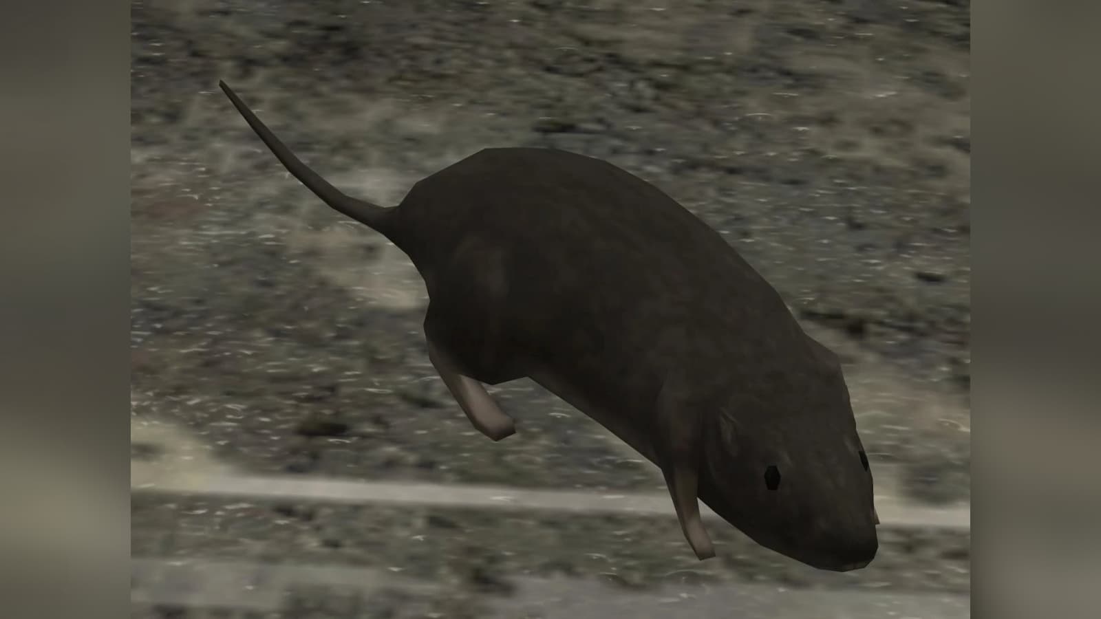 Halo 3 Rat meme template - Halo 3 Rat