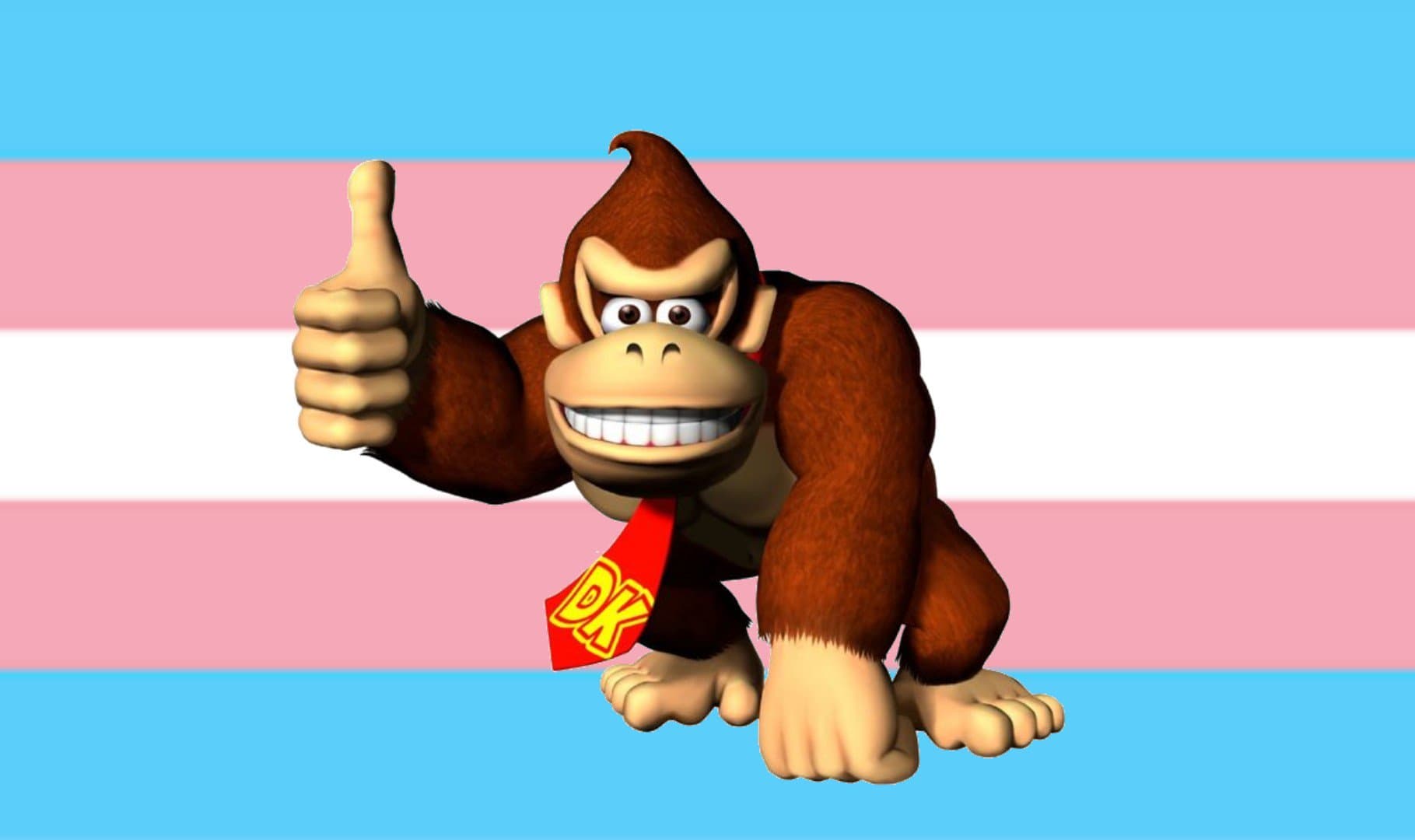 Hbomberguy's Donkey Kong 64 Trans Charity Marathon Stream meme template - Hbomberguy DK64