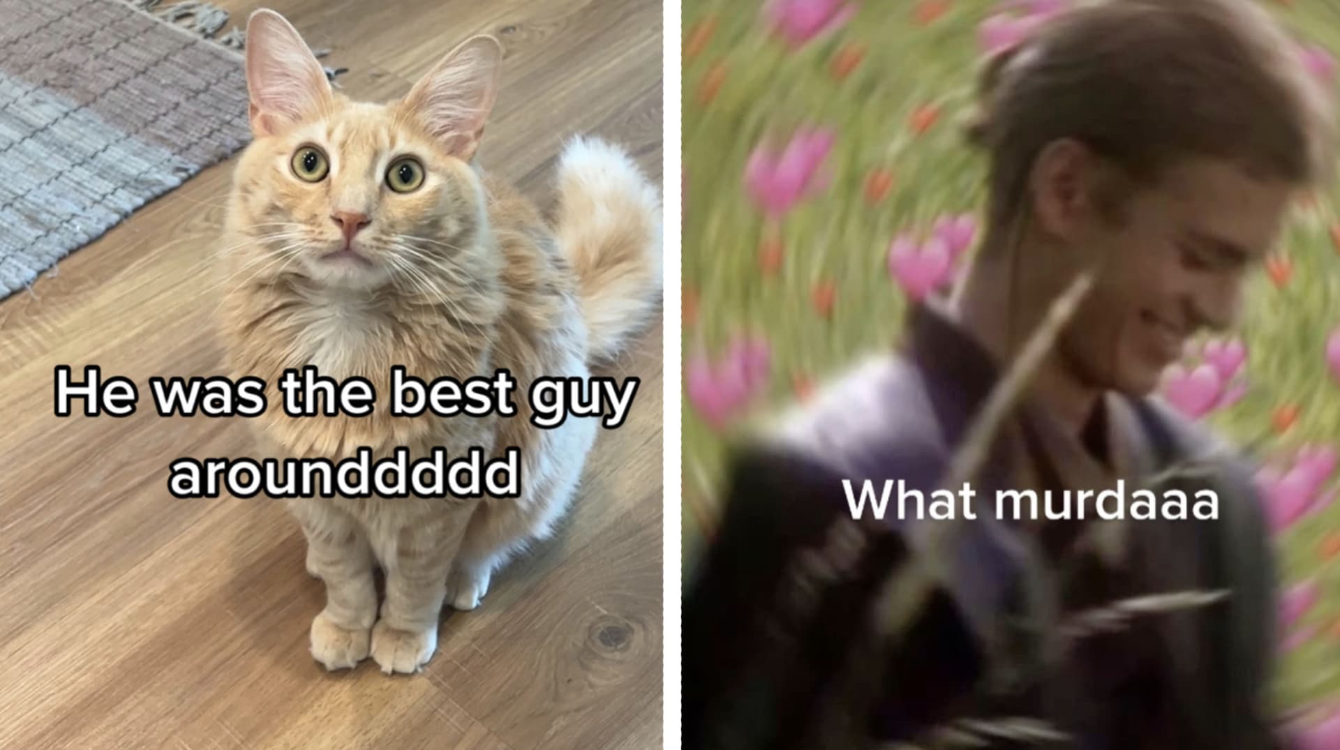 He Was The Best Guy Around meme template - He Was The Best Guy Around