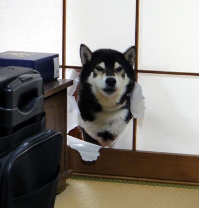 Heard You Were Talking Shit meme template - Heard You Were Talking Shit