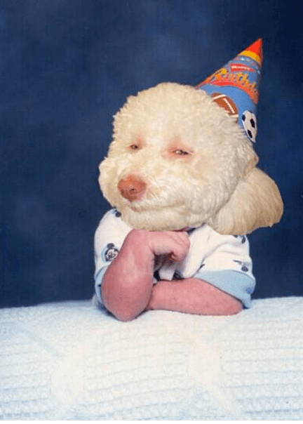 #HeavenIsForRealMovie meme template - Heaven Is For Real Template