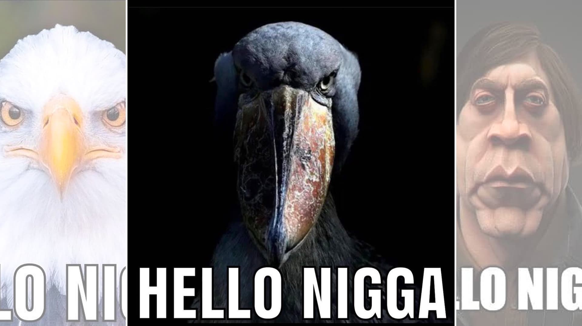 Hello Nigga meme template - Hello Nigga