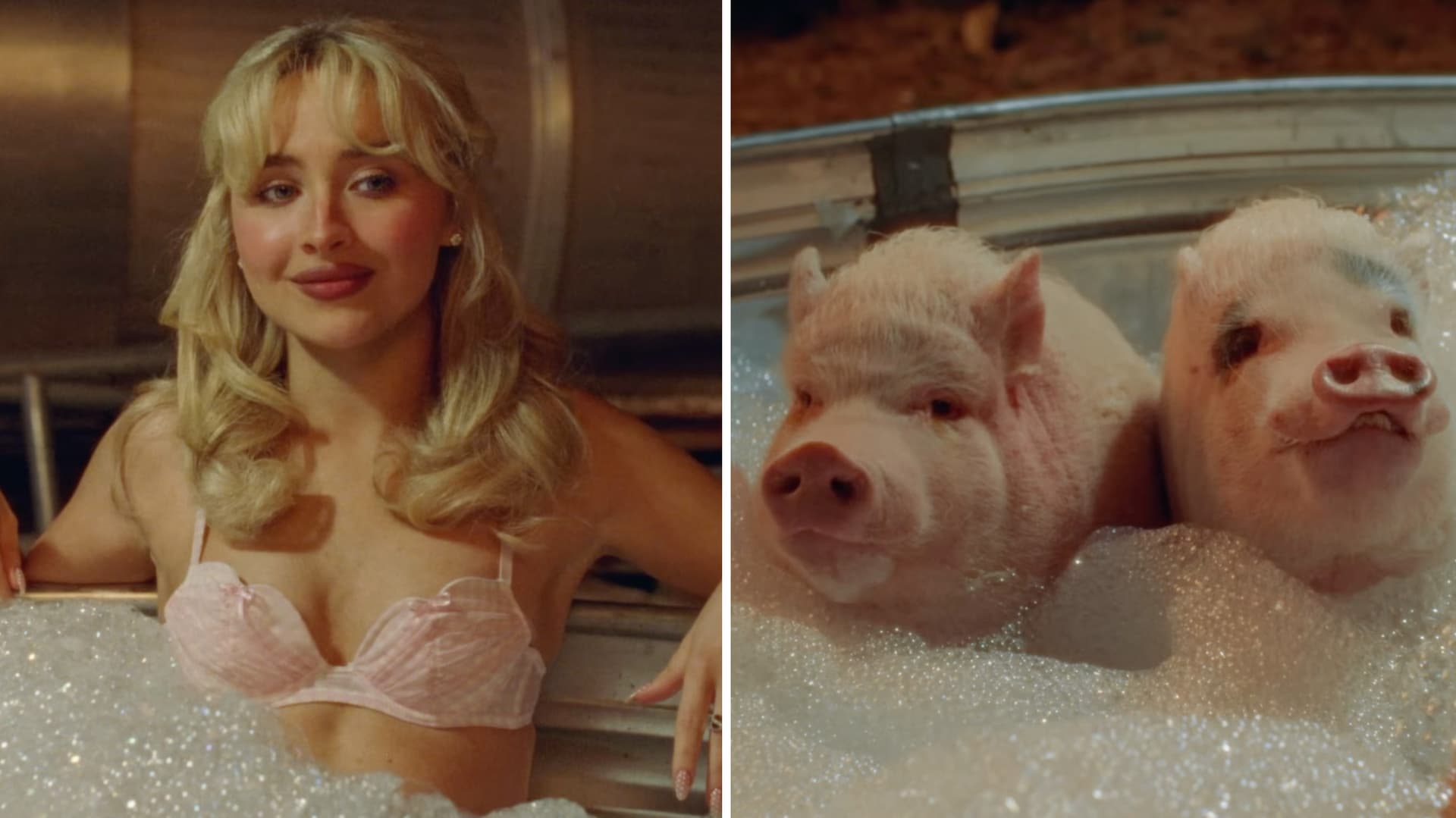 "Hey Men" and They Are Pigs meme template - Hey Men