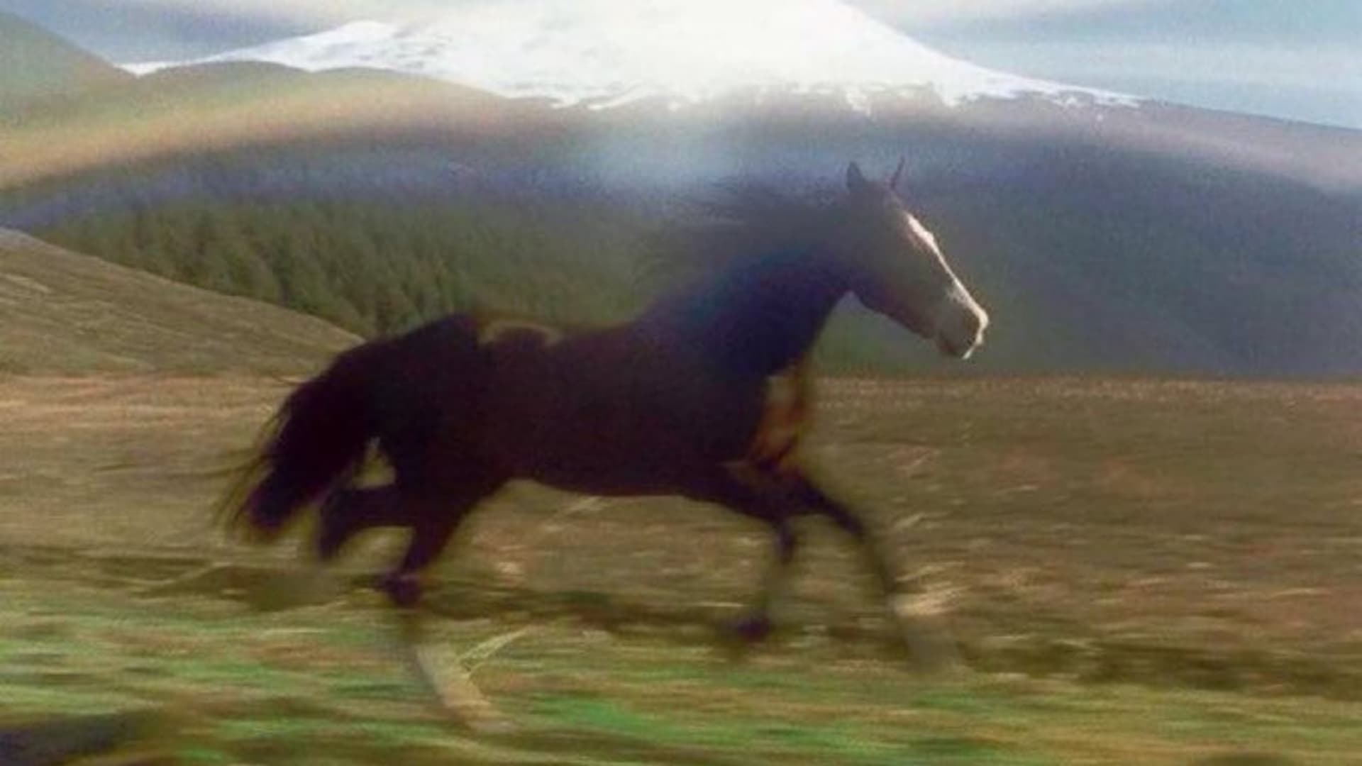 Horse Running Past Mountain / 3 Coffees No Lunch meme template - Horse Running Past Mountain