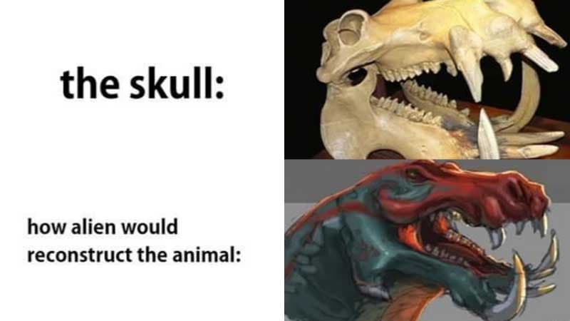 How Aliens Would Reconstruct The Animal meme template - How Aliens Would Reconstruct The Animal