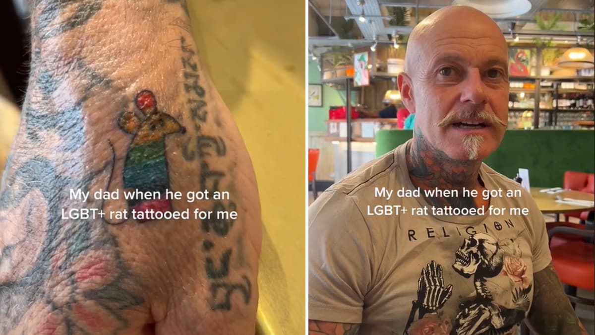 How Can I Be Homophobic? My Bitch Is Gay meme template - How Can I Be Homophobic