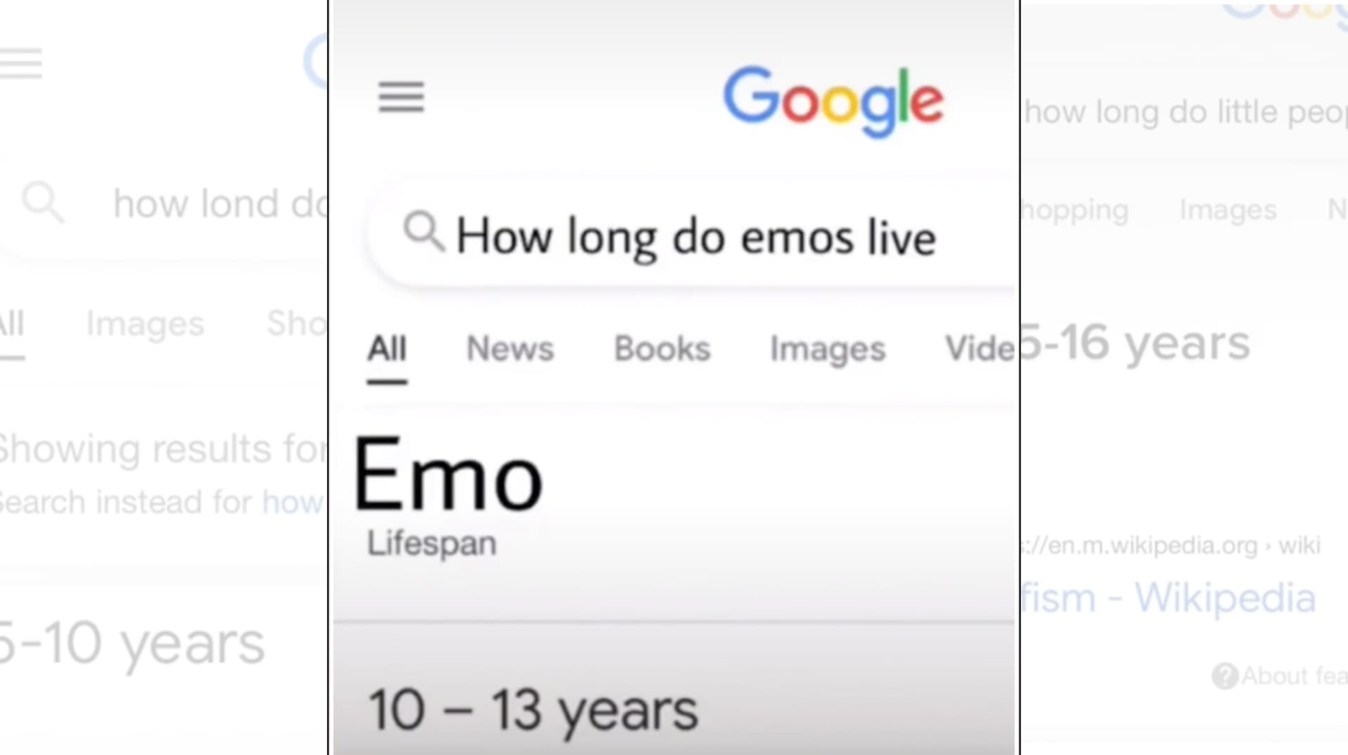 How Long Do Emos Live / How Long Do Short People Live meme template - How Long Do Emos Live