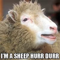 Hurr Durr meme template - Hurr Durr