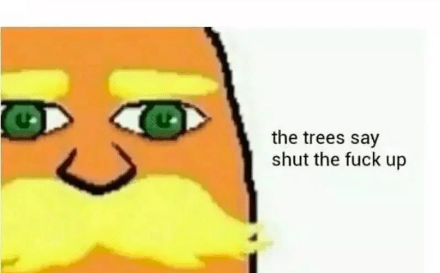 I Am The Lorax I Speak For The Trees meme template - Lorax
