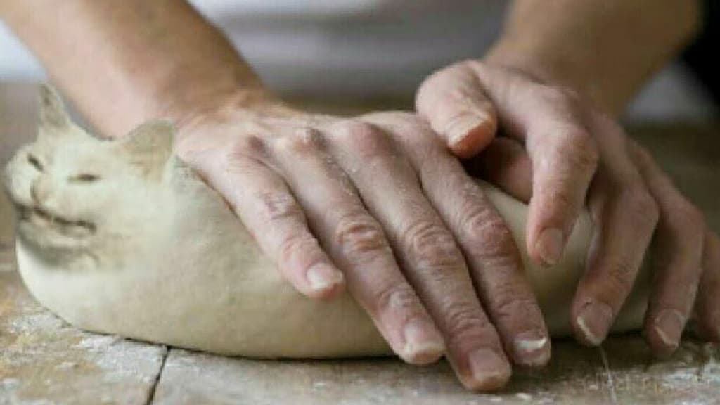 I Don't Wanna Be Bread meme template - I Don't Wanna Be Bread