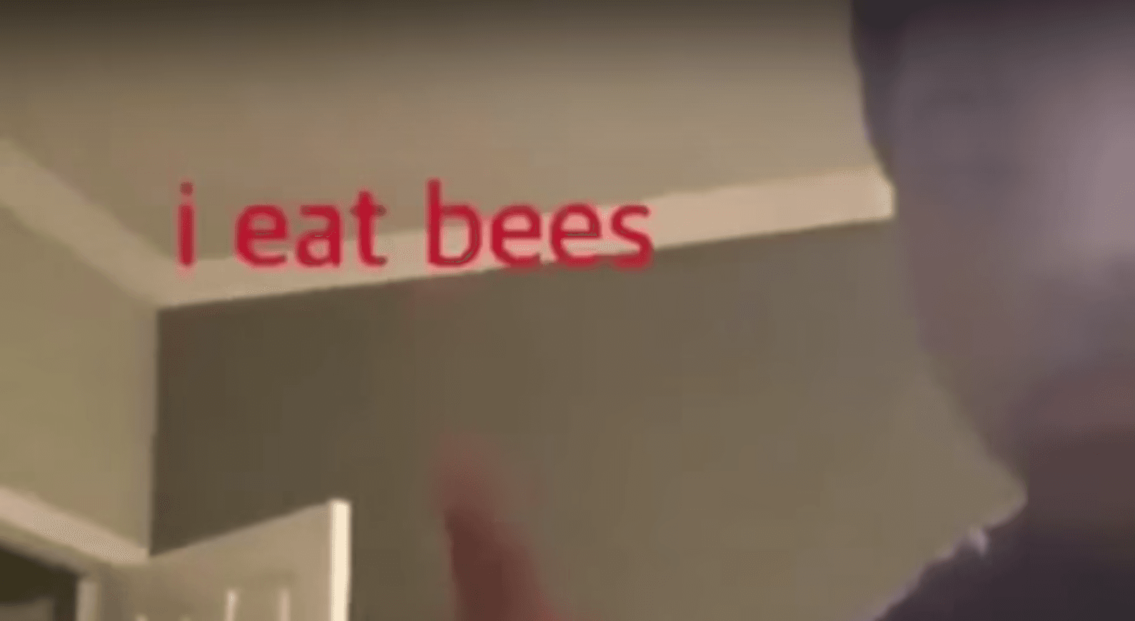 I Eat Bees meme template - I Eat Bees