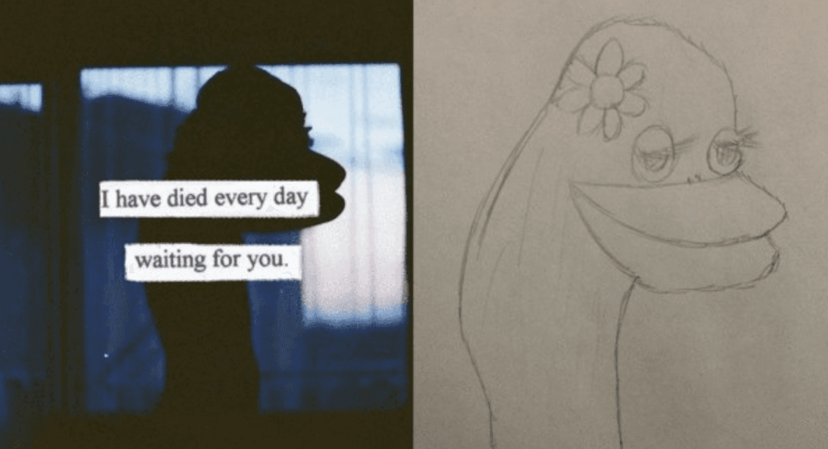 I Have Died Every Day Waiting For You meme template - I Have Died Every Day Waiting For You