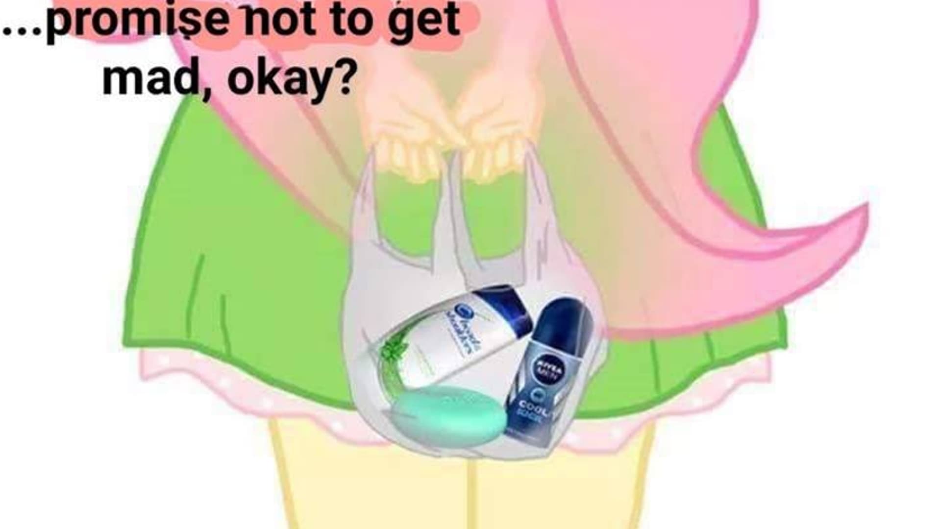 I Have Something For You, But Promise Not to Get Mad, Okay? meme template - Promise Not To Get Mad