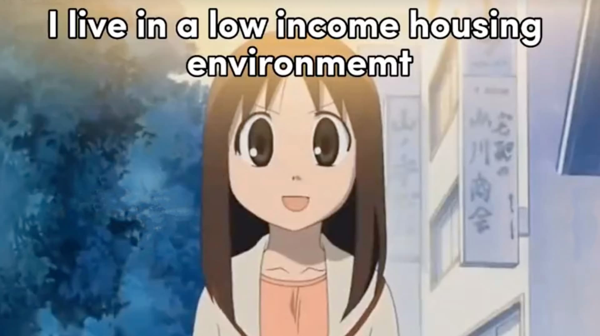 I Live In a Low Income Housing Environment That Goes by the Government Name of Section 8 meme template - Section 8