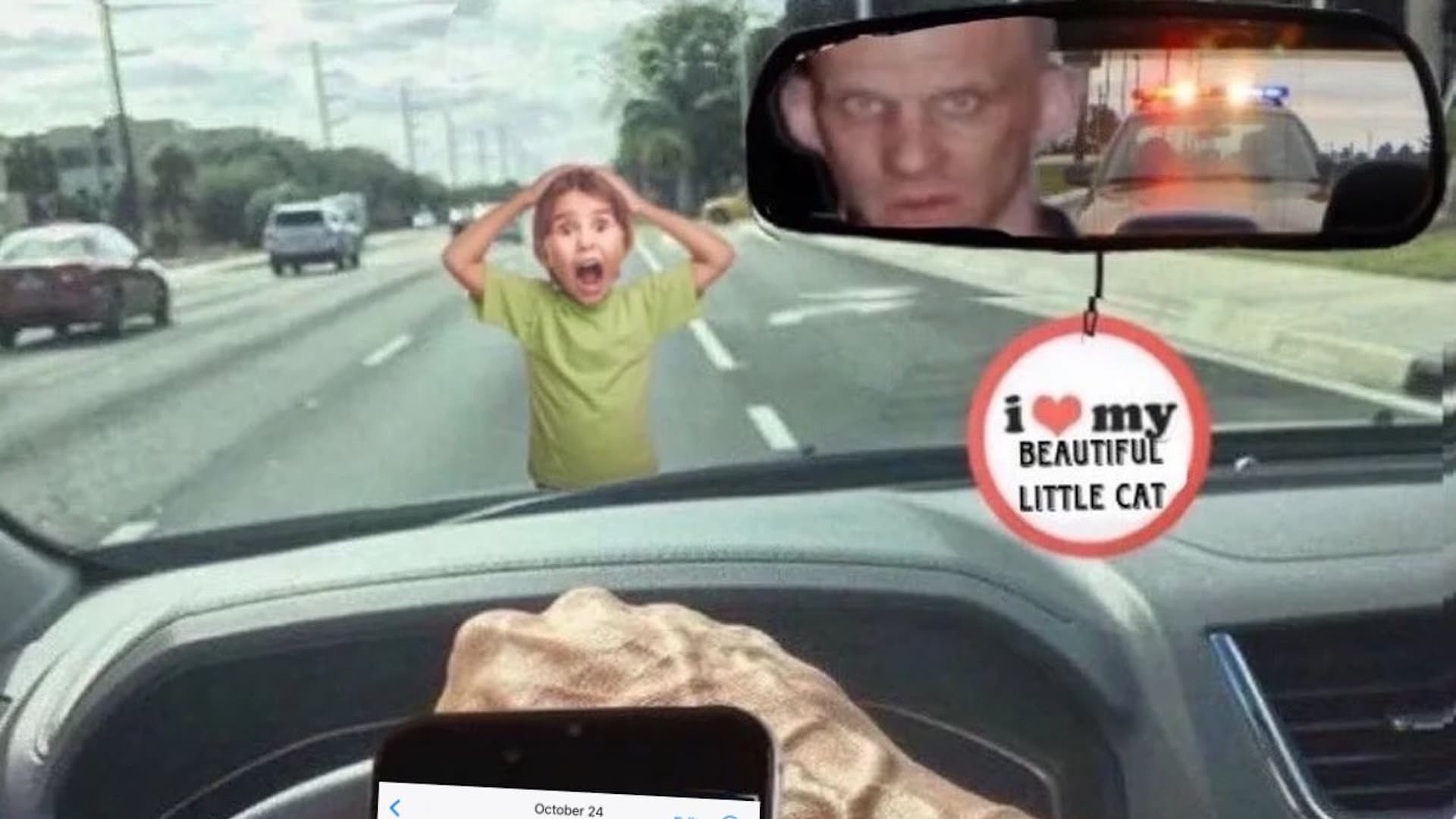 I Love My Beautiful Little Cat meme template - I Love My Beautiful Little Cat