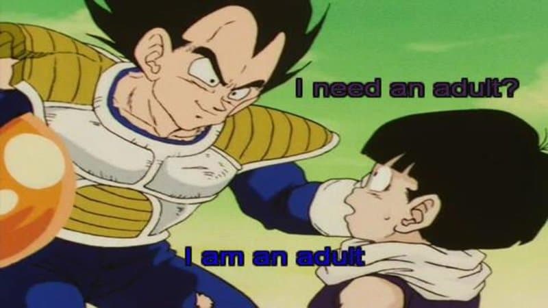 I Need An Adult meme template - I Need An Adult