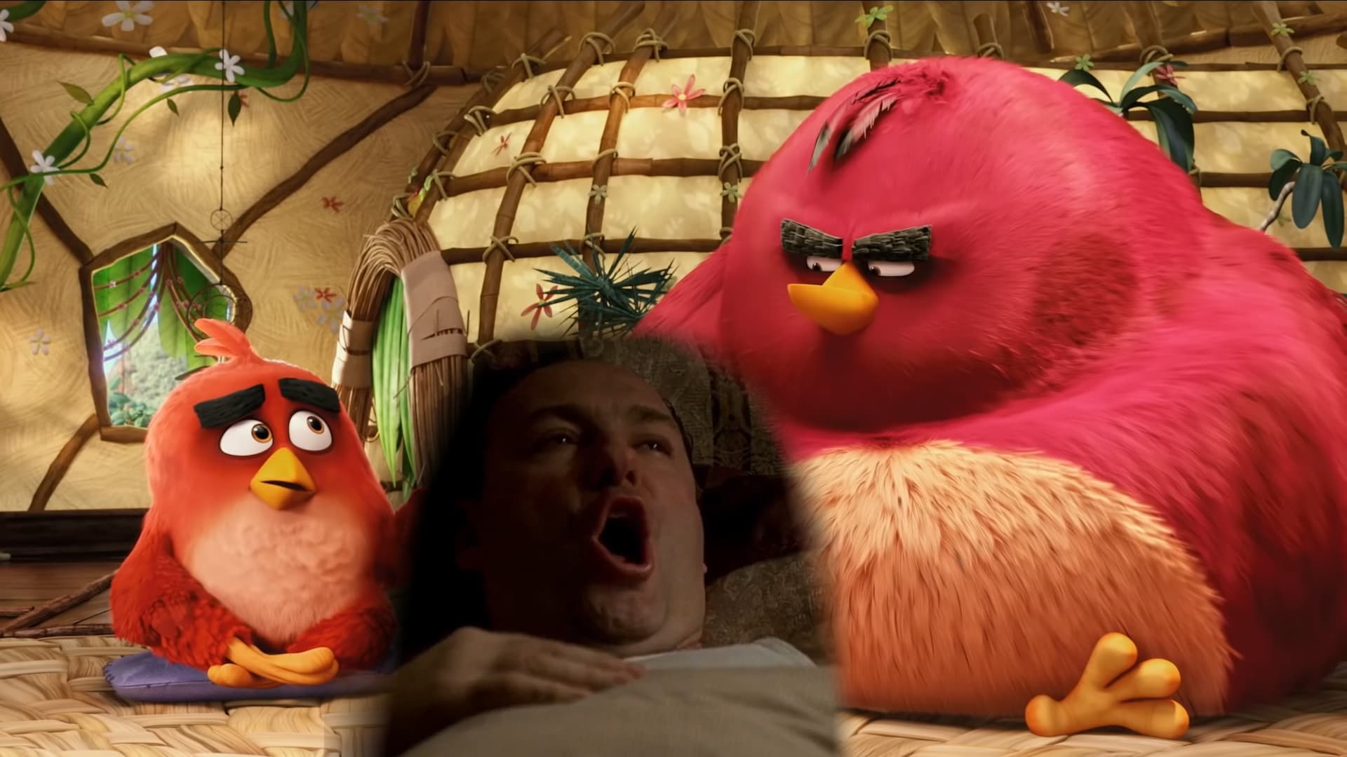 I Used to Jerk Off to Angry Birds meme template - I Used to Jerk Off to Angry Birds