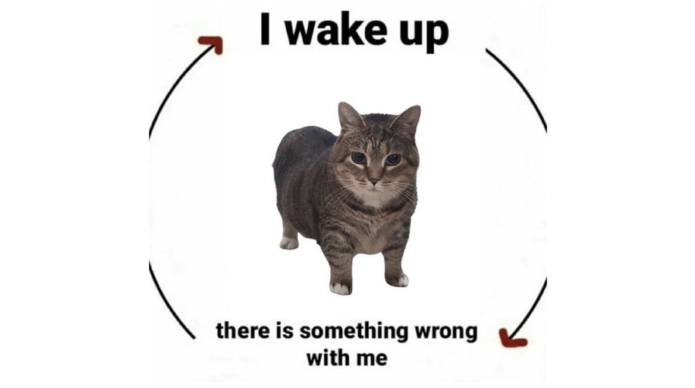 I Wake Up / There Is X meme template - I Wake Up