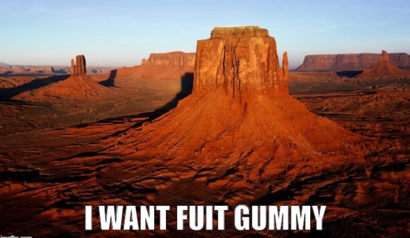 I Want Fuit Gummy meme template - I Want Fuit Gummy