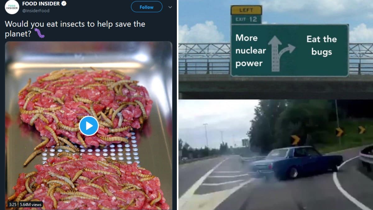 I Will Not Eat the Bugs meme template - I Will Not Eat The Bugs