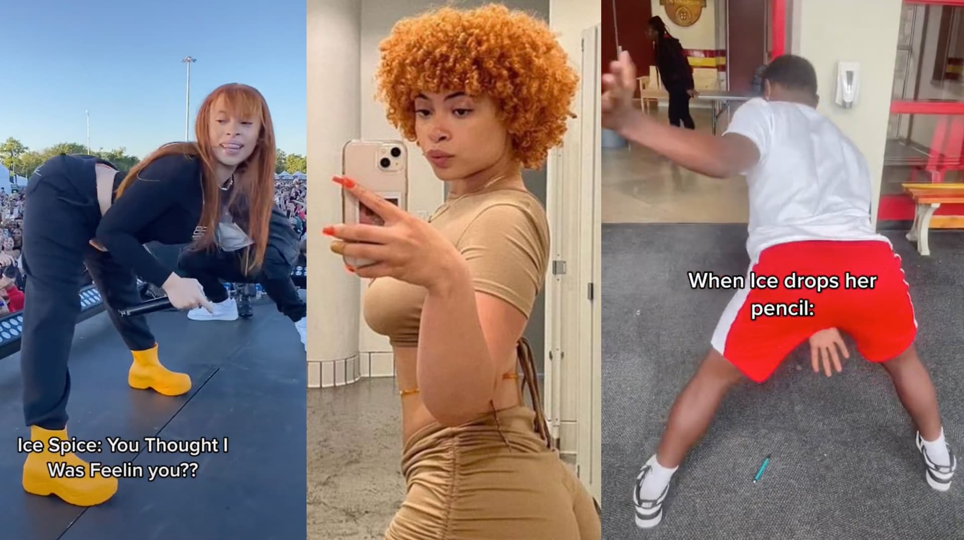 Ice Spice Twerk / Signature Move meme template - Ice Spice Twerk