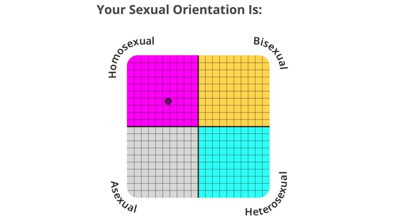IDRlabs Sexual Orientation Test meme template - IDRlabs Sexual Orientation Test