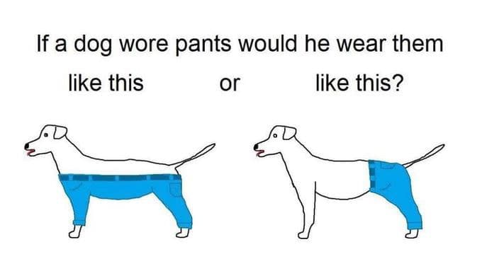 If a Dog Wore Pants meme template - If a Dog Wore Pants