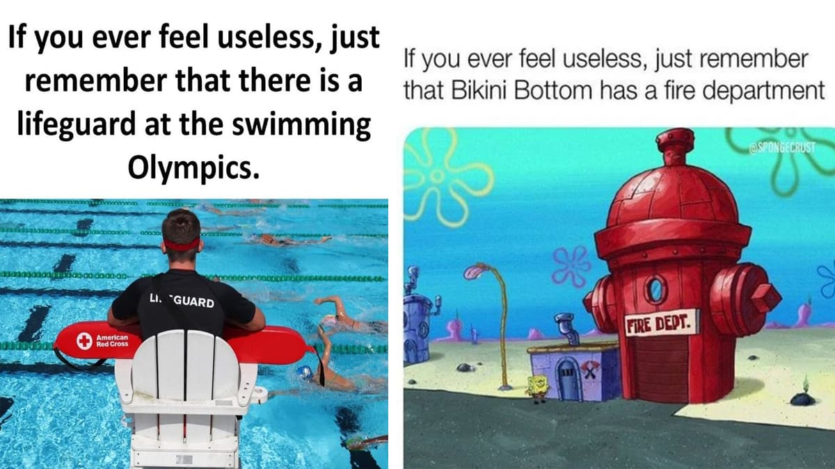 If You Ever Feel Useless, Remember That This Exists meme template - If You Ever Feel Useless