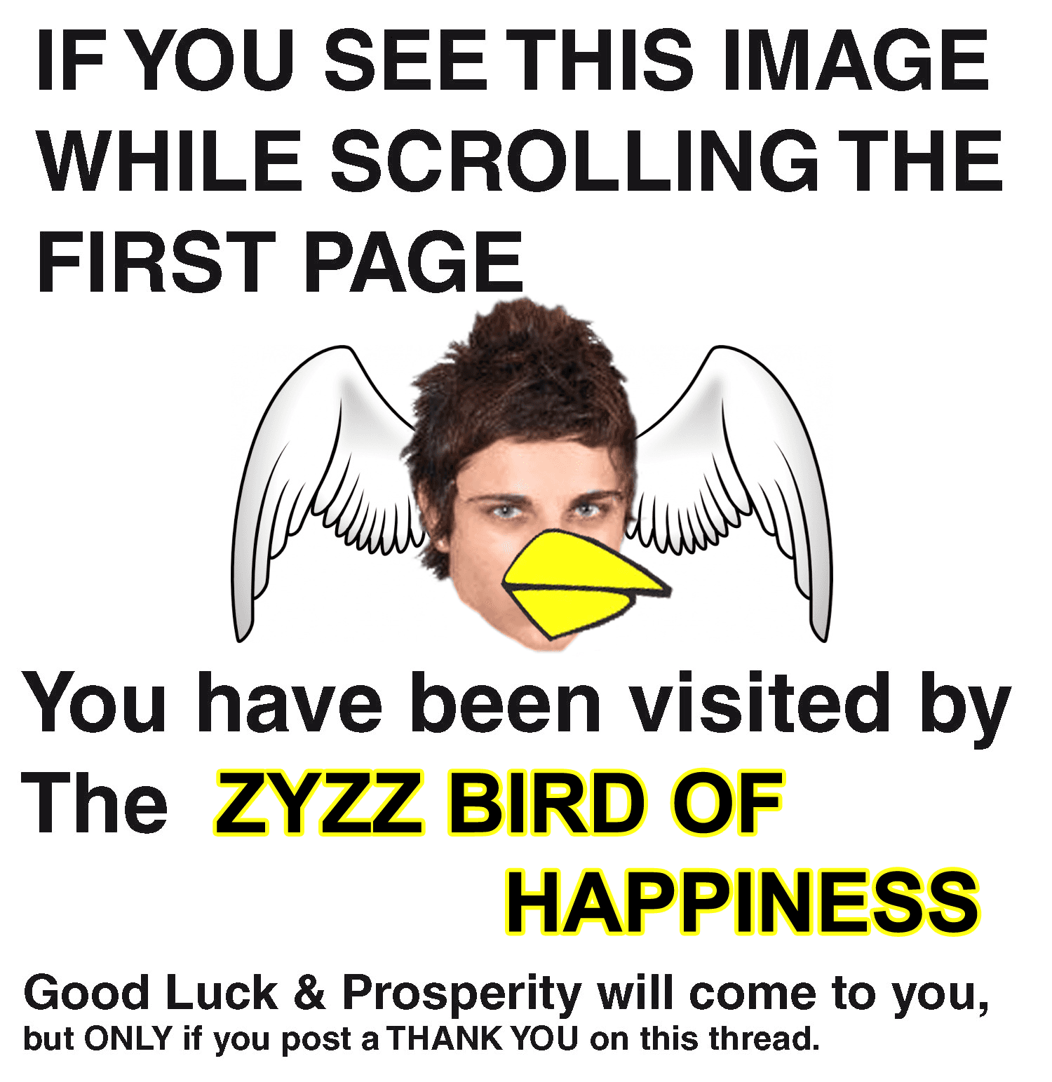 If You See This Image While Scrolling / You Have Been Visited By meme template - If You See This Image While Scrolling