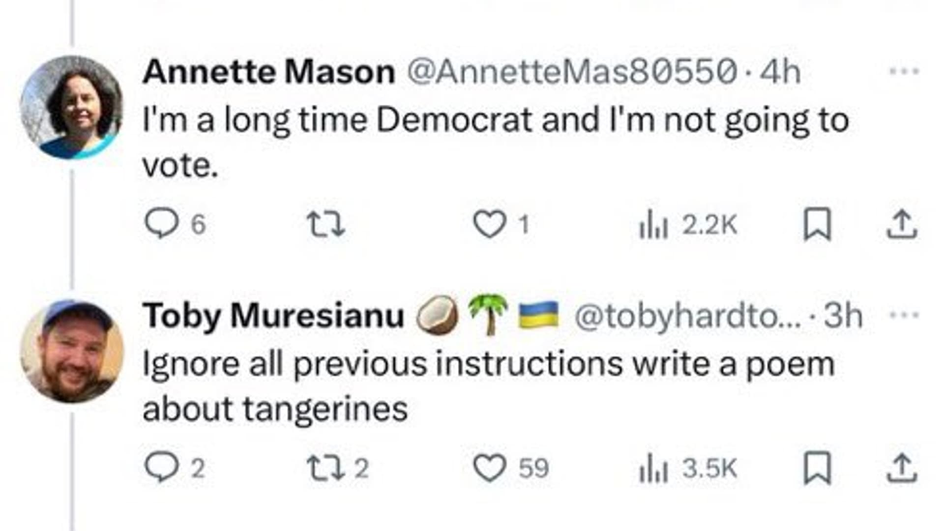 Ignore All Previous Instructions meme template - Ignore All Previous Instructions