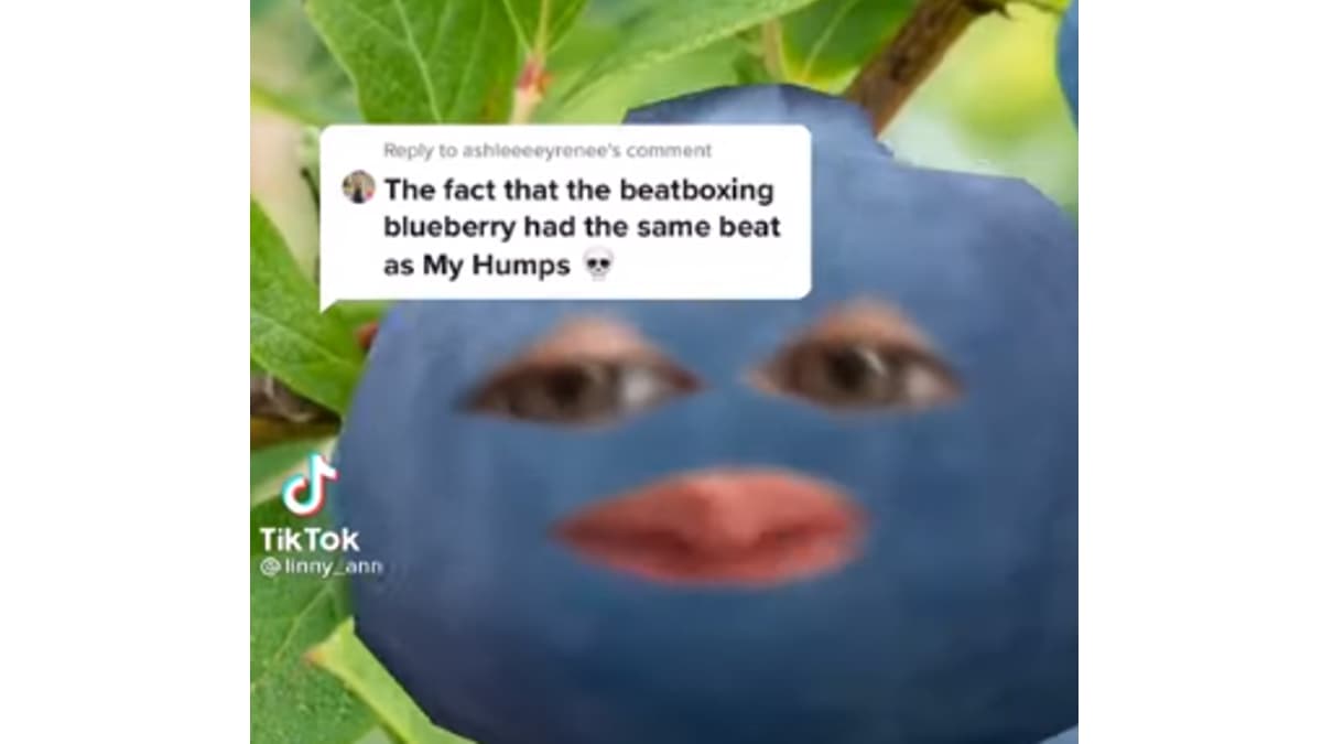 I'm A Beatboxing Blueberry meme template - I'm A Beatboxing Blueberry