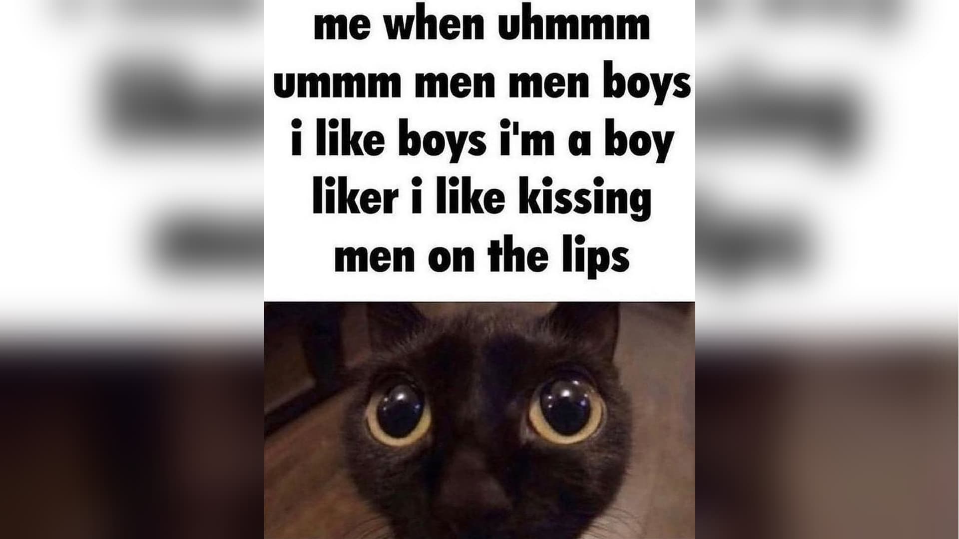 I'm a Boy Liker, I Like Kissing Men on the Lips meme template - Boykisser