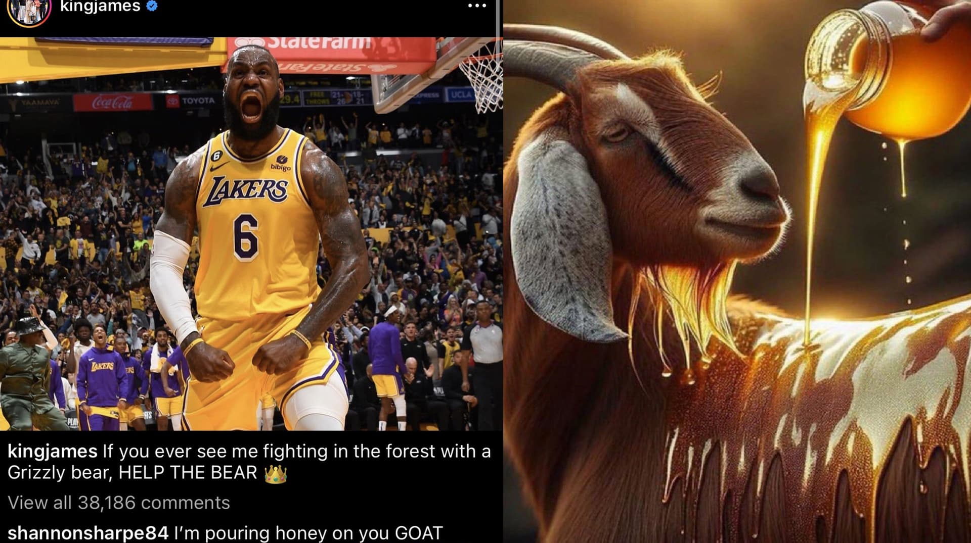 I'm Pouring Honey on You GOAT meme template - I'm Pouring Honey on You GOAT