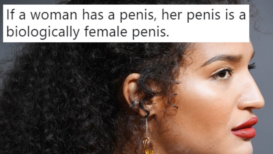 Indya Moore's "Biologically Female Penis" Tweet meme template - Indya Moore