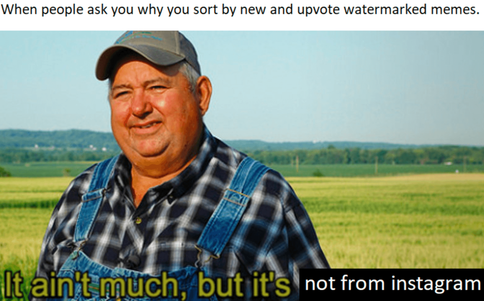 Instagram vs. /r/Dankmemes War meme template - Instagram vs Reddit Maker