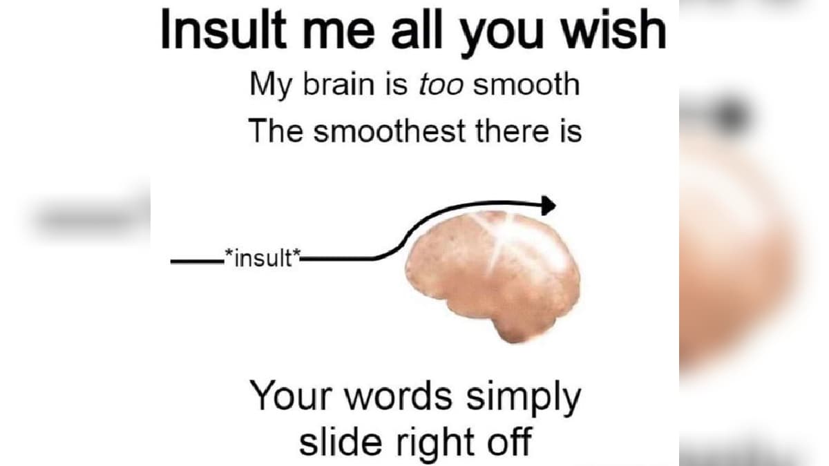 Insult Me All You Wish My Brain Is Too Smooth meme template - Smooth Brain